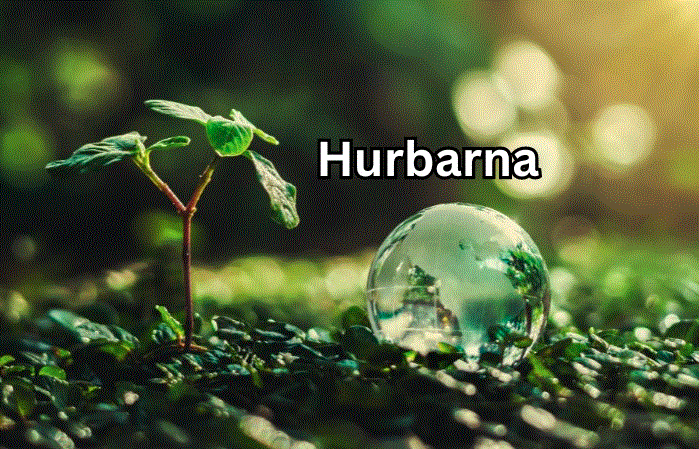 hurbarna