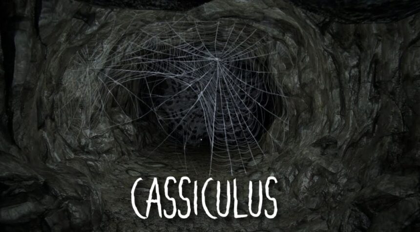 Cassiculus