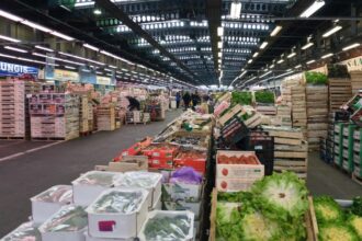 Wholesale Food Suppliers