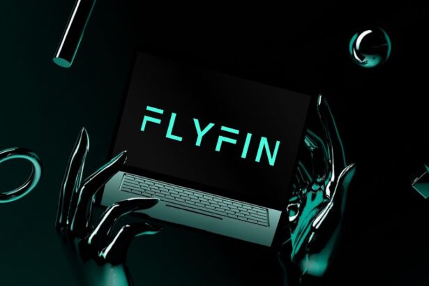 FlyFin