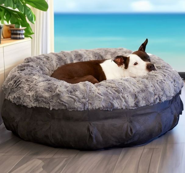 Dog Bed