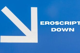 eroscripts down