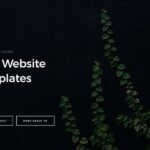 Squarespace Website Templates