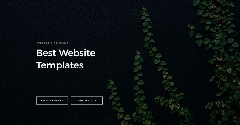 Squarespace Website Templates