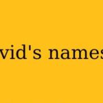 davids nameset