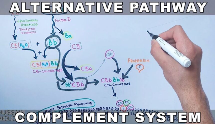 Alternative Pathways