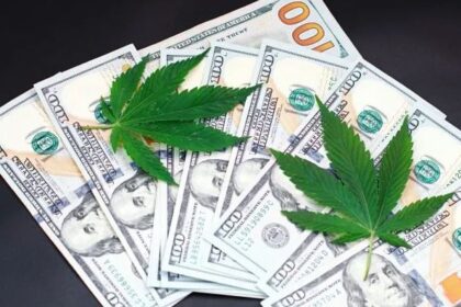Cannabis Companies