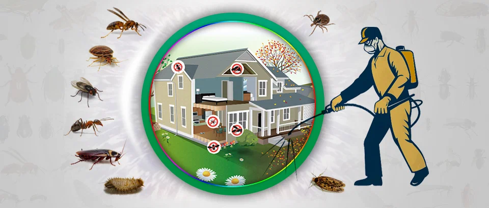 Pest Control